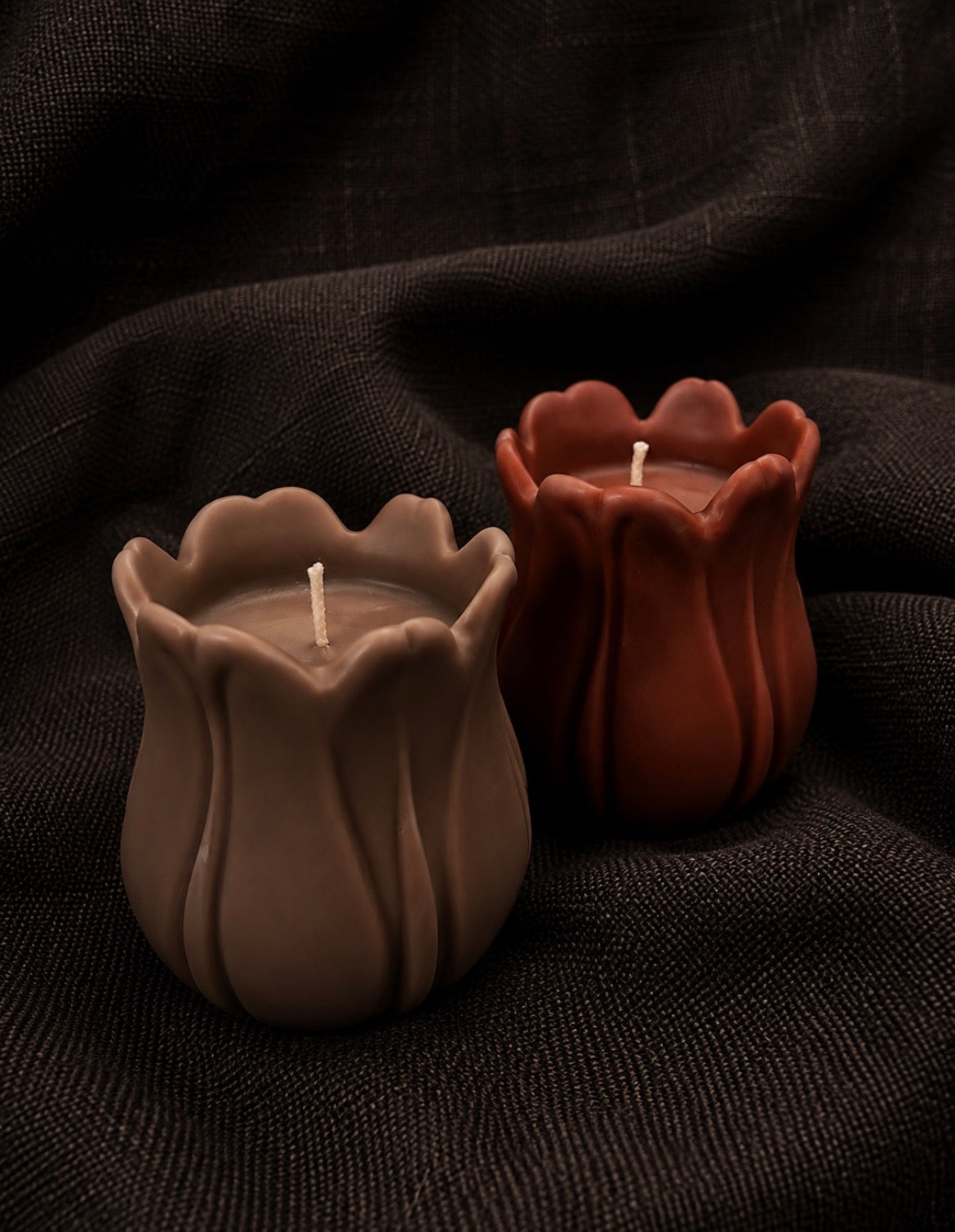 Tulip